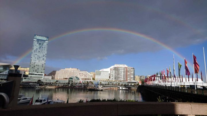 ダーリンハーバー