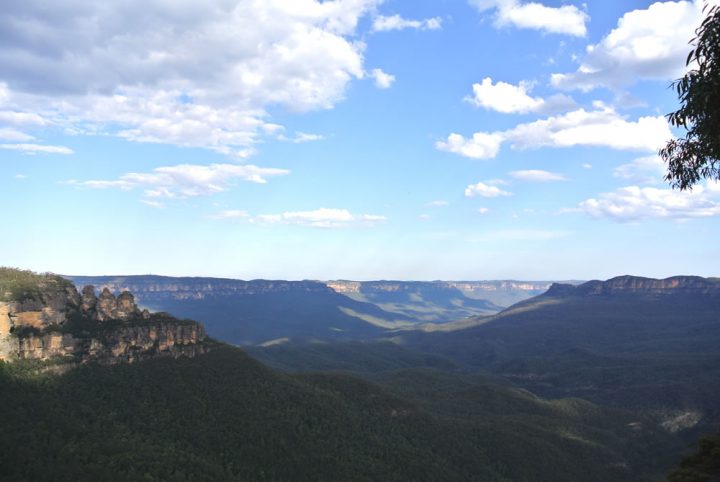 ブルーマウンテン