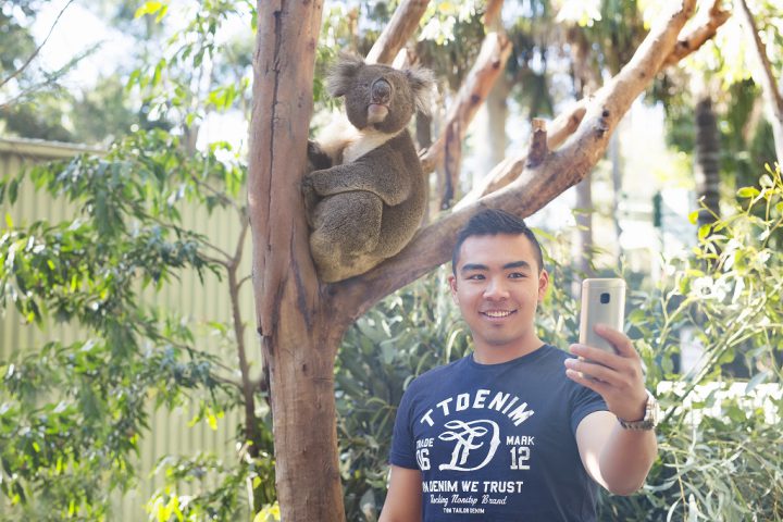 フェザーデール動物園