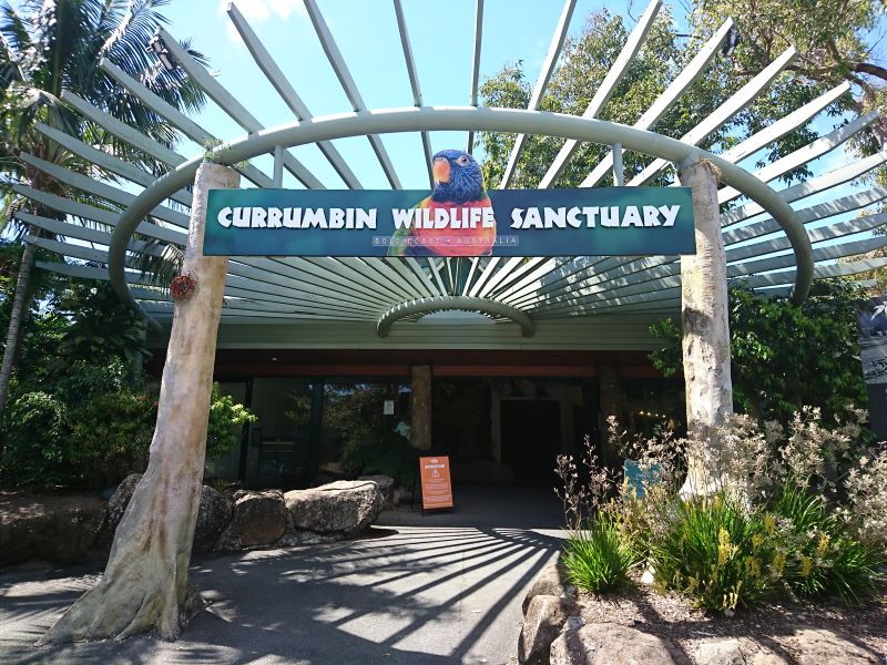 ゴールドコーストの「カランビン動物園」完全ガイド - 行き方、見所、お得なチケット入手方法