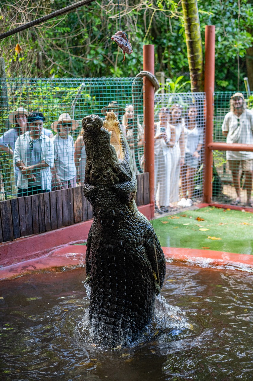 グリーン島徹底ガイド 行き方 見どころ ツアー紹介