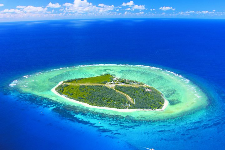 レディエリオット島