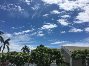 本日のお客様