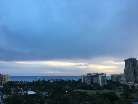 本日のお客様