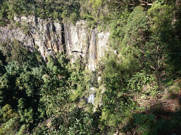 世界自然遺産スプリングブルック国立公園・パーリングブルック滝展望台 一部クローズのお知らせ