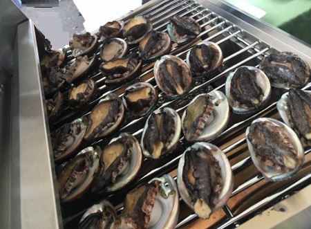 コナ産えぞあわび
