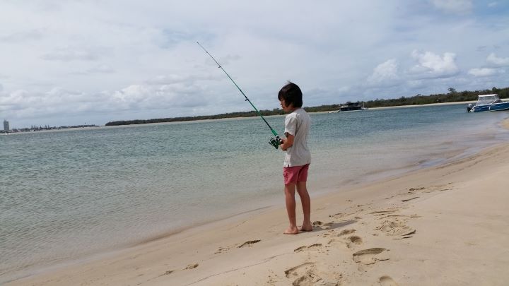 【2020年版】 ゴールドコーストの子連れ旅行お勧め&人気ツアーランキング。