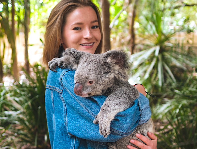 【2026年版】ケアンズのコアラが抱っこできる動物園5選!