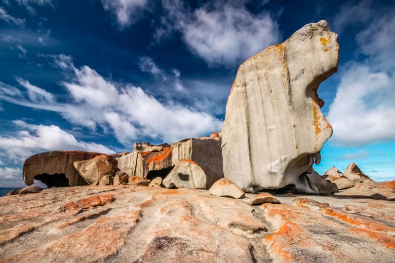 【2026年版】アデレード旅行で外せないお勧め観光スポット17選！