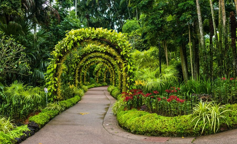 シンガポールの2大植物園に行こう！見所、行き方、営業時間など