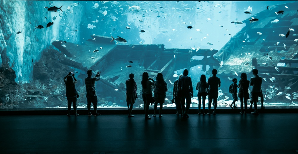 シンガポールの水族館 シー・アクアリウム™の見どころ、行き方、営業時間など