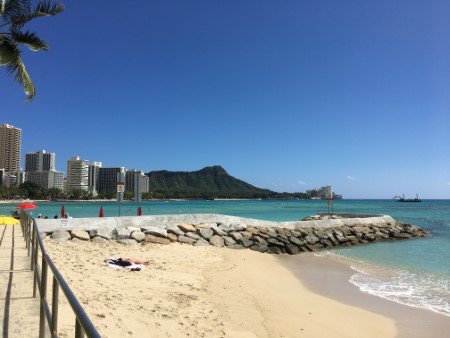 ハワイ 2月11日(木)今日のワイキキ