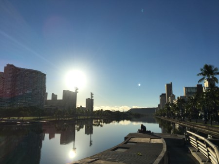 ハワイ　アラワイ運河のフグとマッカリーSCのファーマーズマーケット