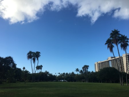 ハワイ 今朝のワイキキ散歩