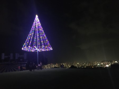 ハワイ　カイムキの丘の上の公園