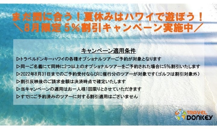 ハワイ 8月限定キャンペーン実施中