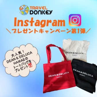 ハワイ 「インスタ・キャンペーン」