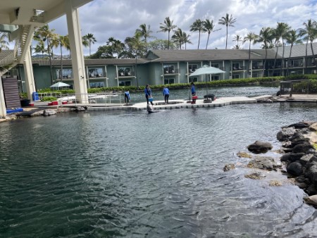 ハワイ　「火曜日のカハラホテル」