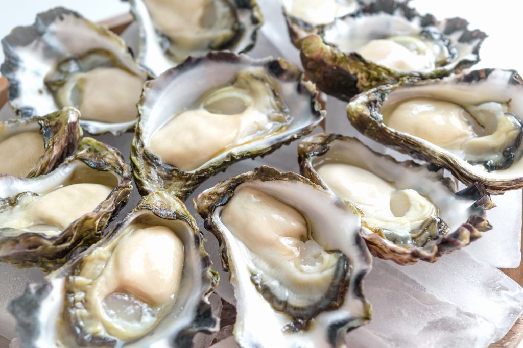 オーストラリアのオイスター(牡蠣)完全ガイド|種類・産地・旬・おすすめの食べ方