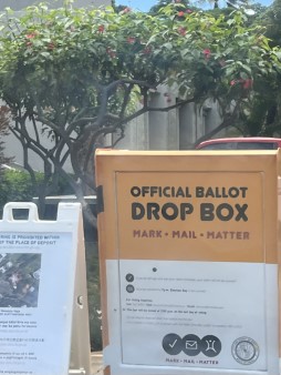 ハワイ　ハワイ州予備選挙