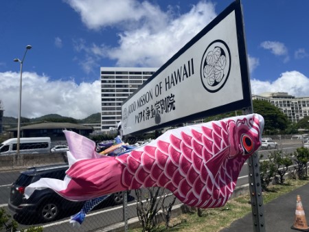 ハワイ　ハワイの鯉のぼり