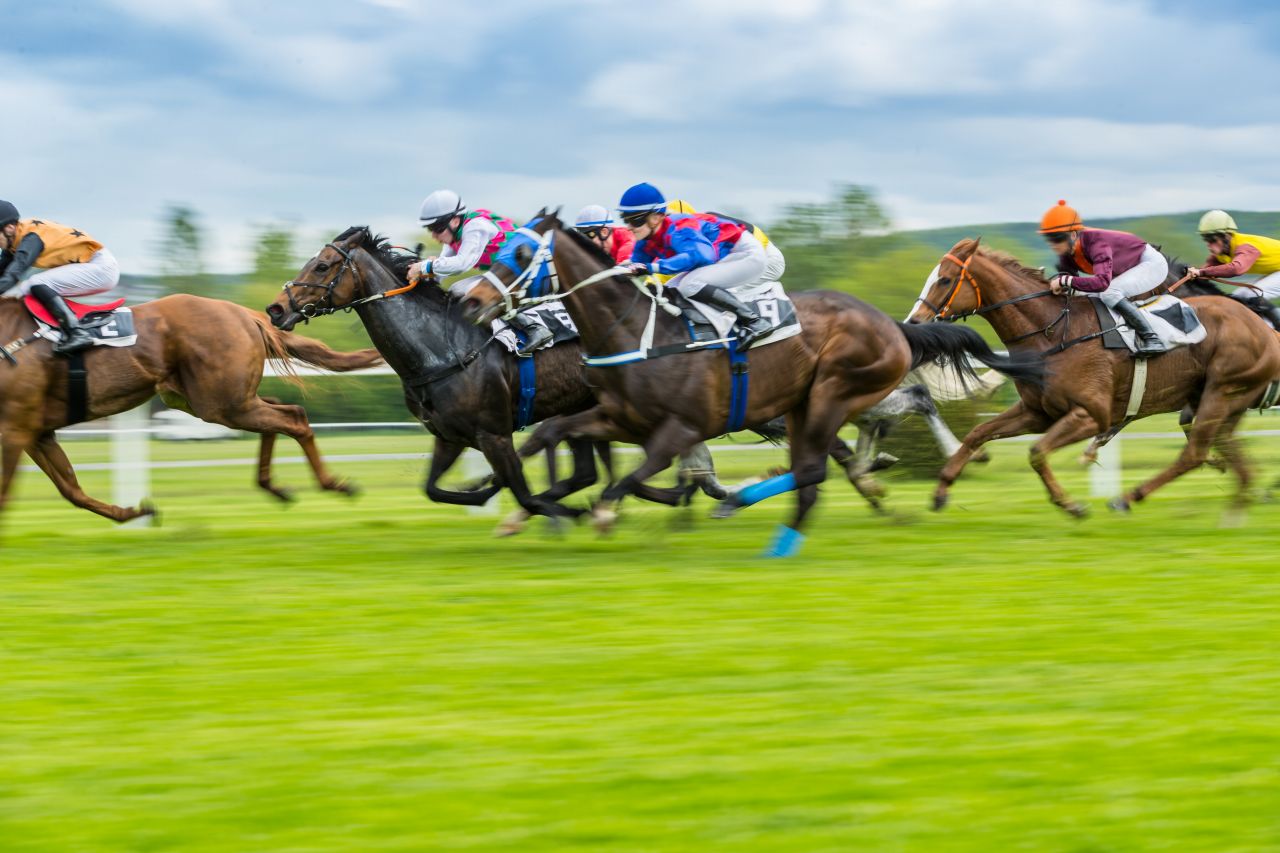 競馬