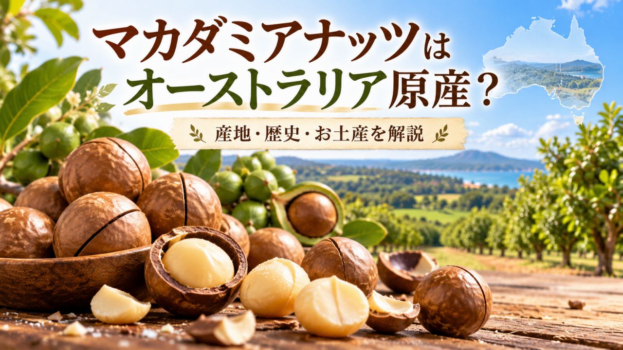 マカダミアナッツはオーストラリア原産?産地・歴史・お土産を解説